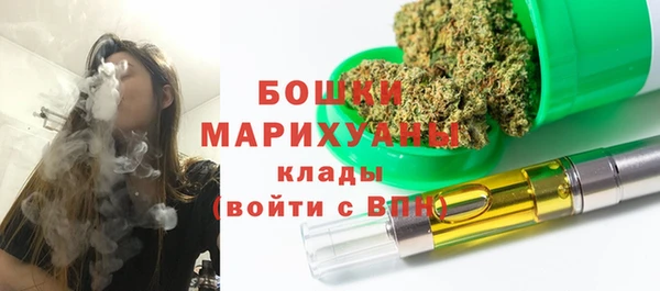 метадон Елизово