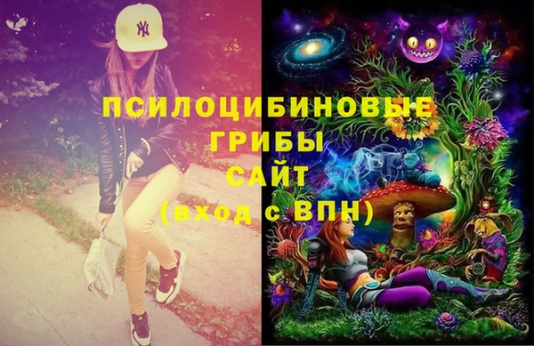 твердый Елабуга
