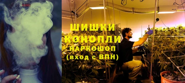 мескалин Ельня